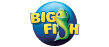 Big fish casino slots gold bars