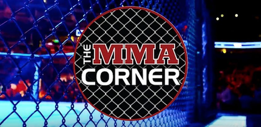 mma-corner-fight-cage