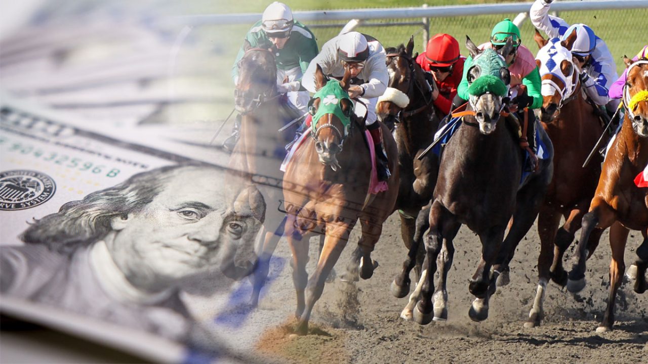 How to place a bet on horse racing