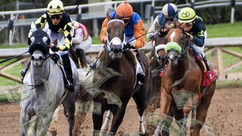 Horse Betting Racing With Money